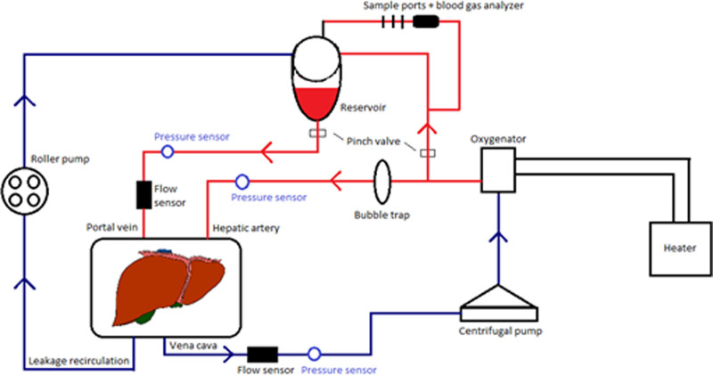 FIGURE 1.