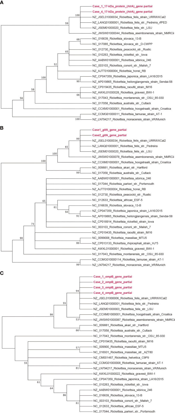 Figure 2