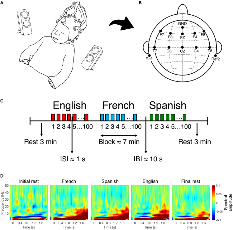 Figure 1