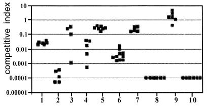 FIG. 2.