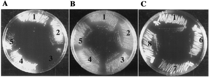 FIG. 4.