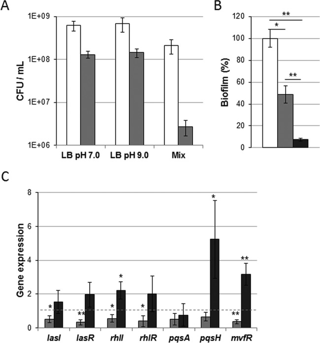 FIG 2 