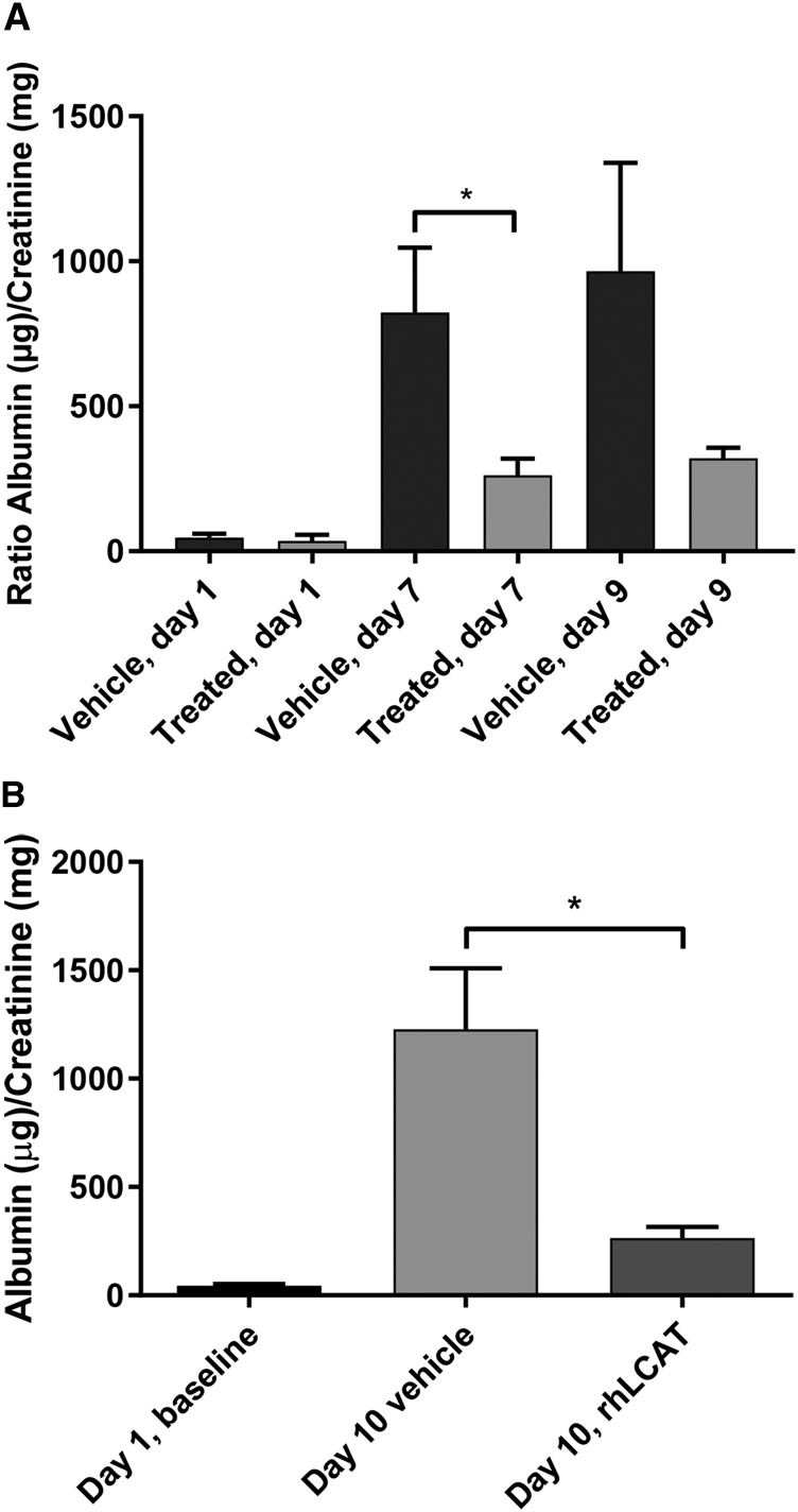 Fig. 11.