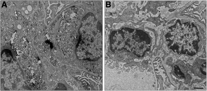 Fig. 10.