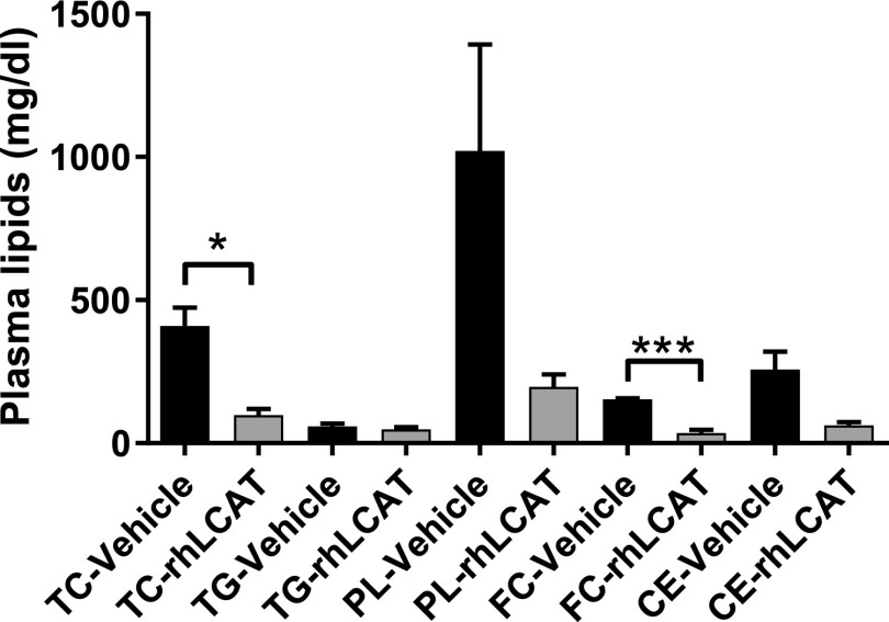 Fig. 9.