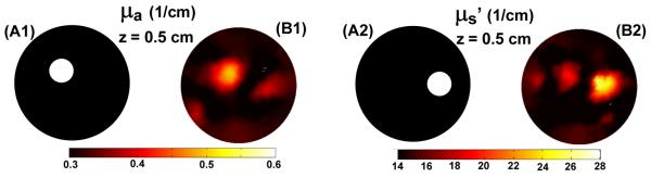 Fig. 3