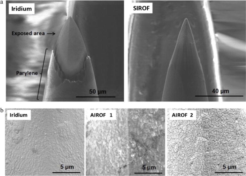 Fig. 11