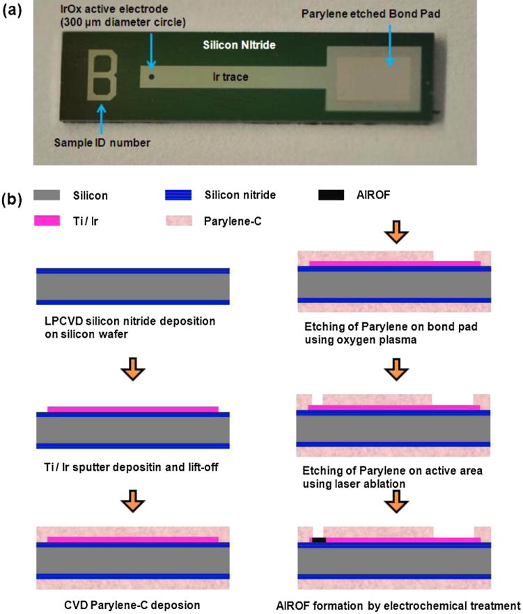 Fig. 2