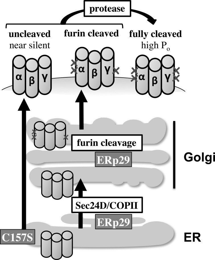 Fig. 9.