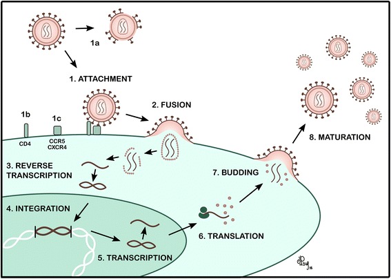 Fig. 1