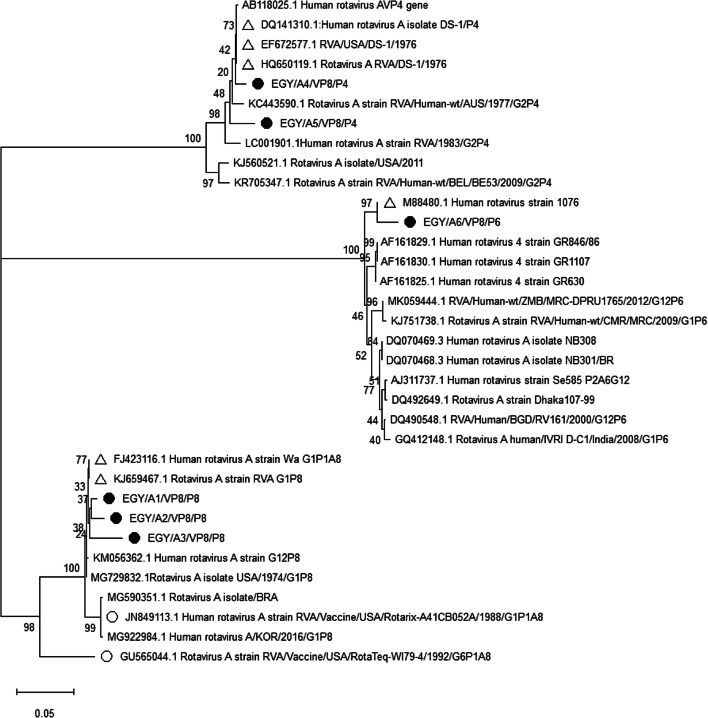 Fig. 7