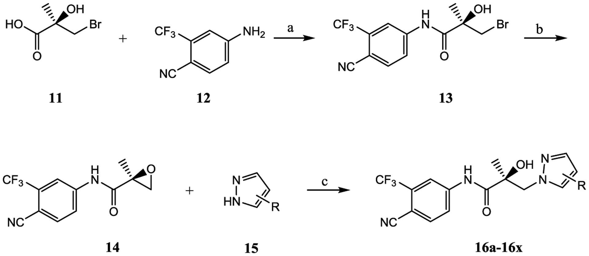 Scheme 1.