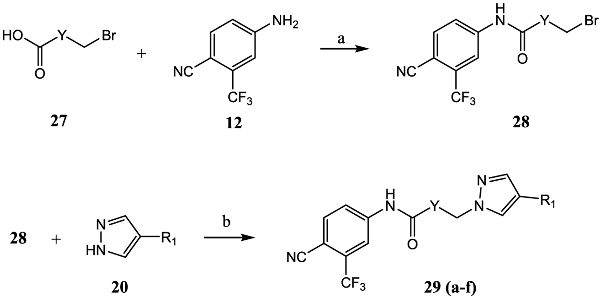 Scheme 4.