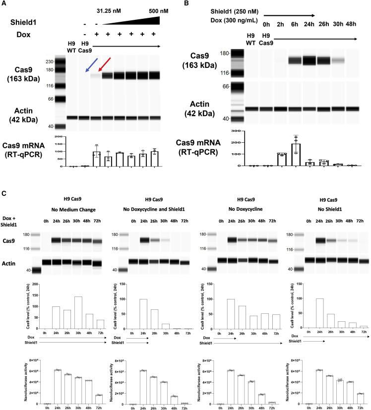 Figure 2