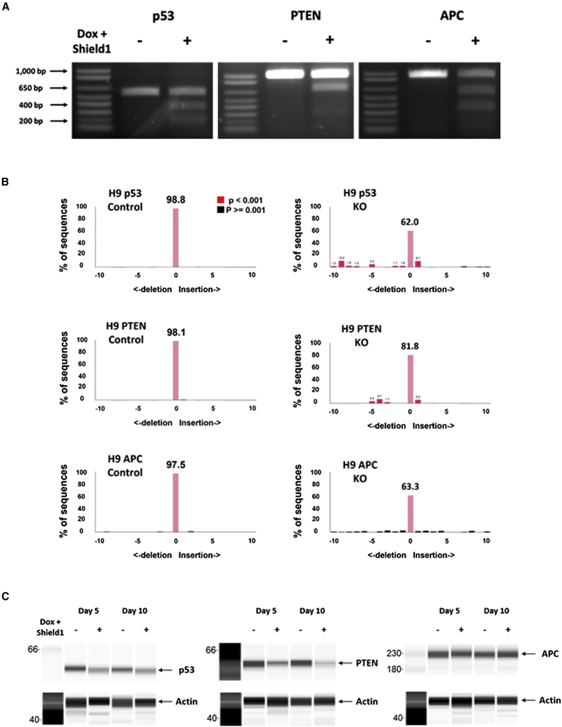 Figure 4