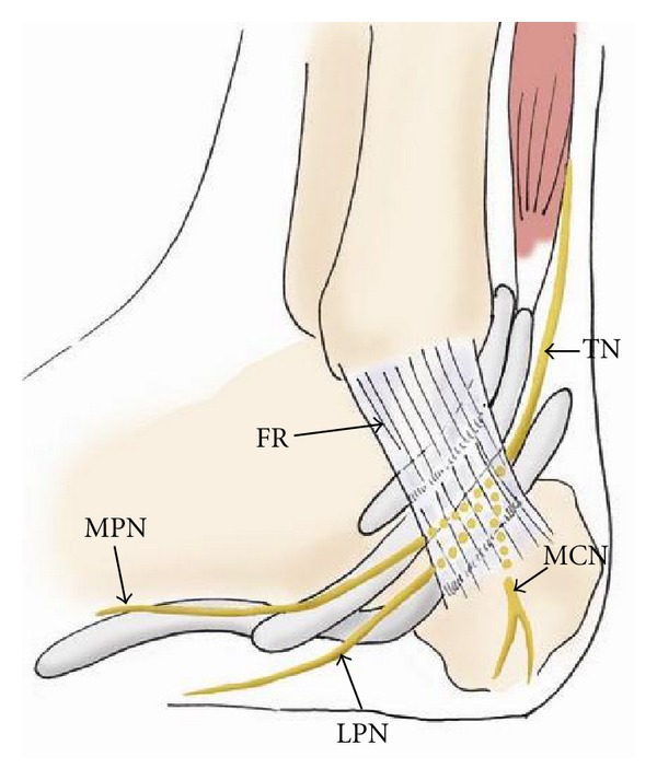 Figure 19