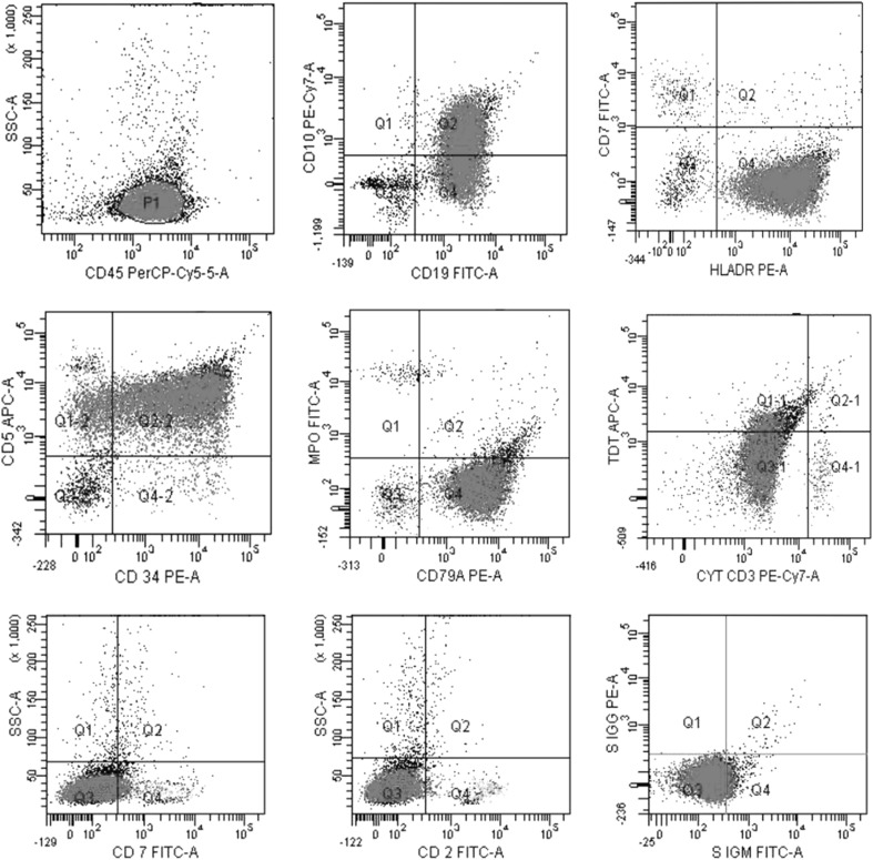 Fig. 2