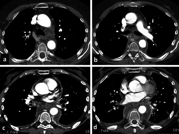 Fig. 8