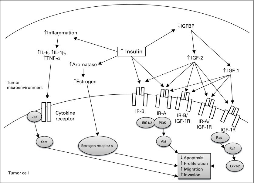 Fig 2.