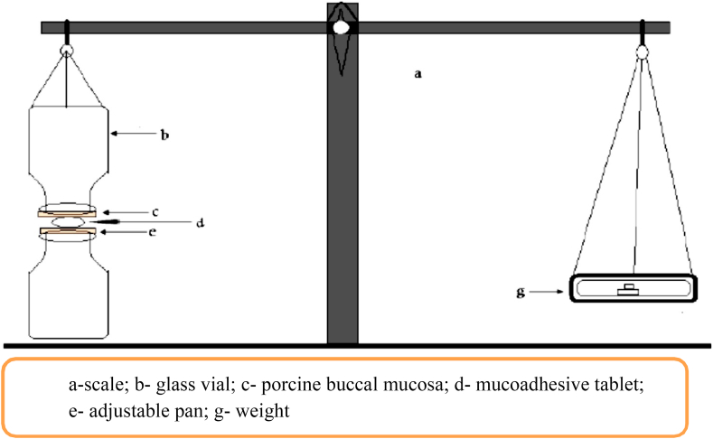 Figure 1