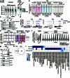 Extended Data Fig. 8