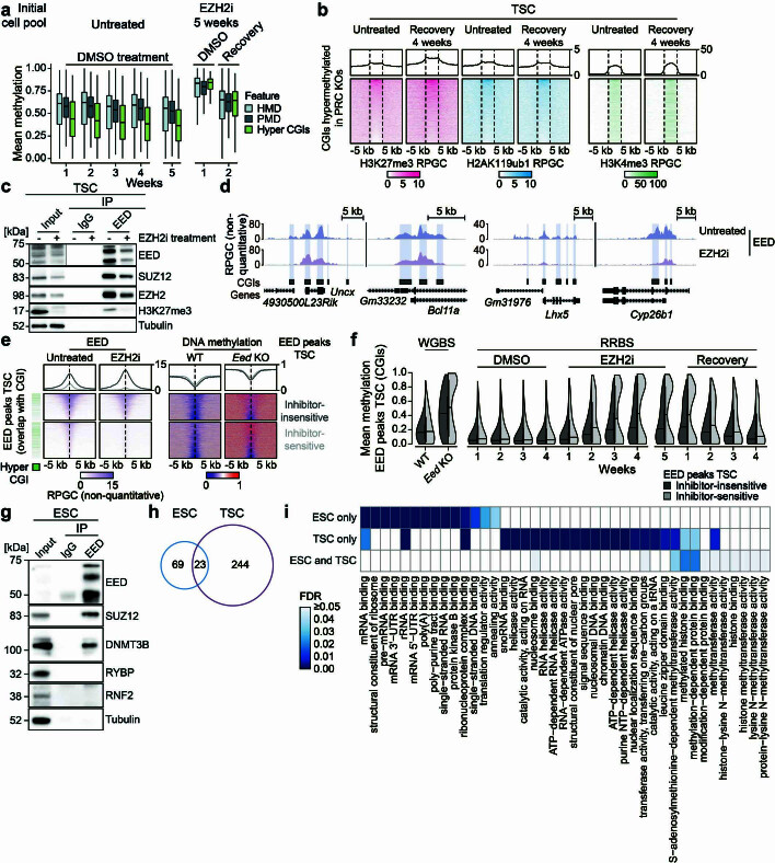 Extended Data Fig. 8