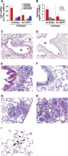 <b>Figure 5.</b>