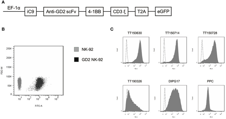 Figure 1