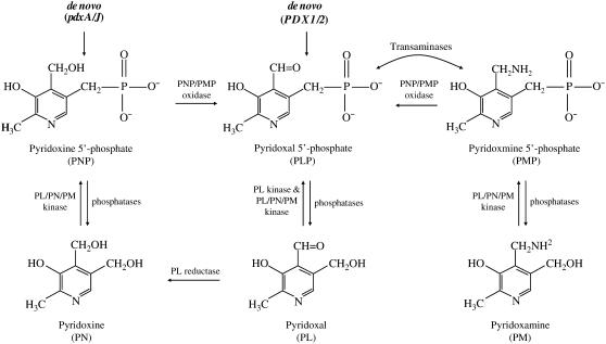 Figure 1.