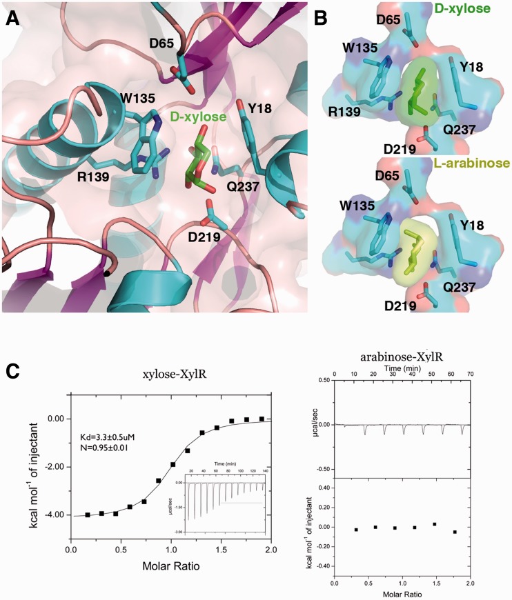 Figure 2.