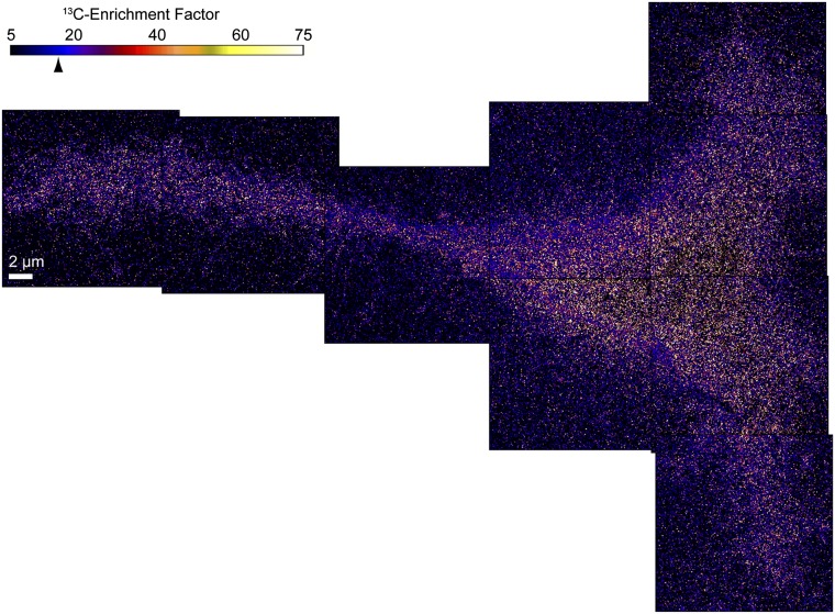 Fig. 3.