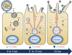 FIG 10