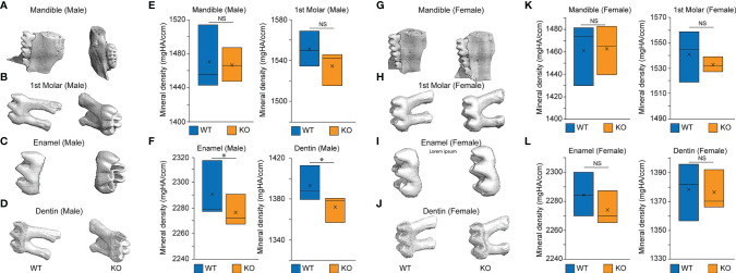 Figure 6