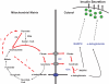 FIG. 3.