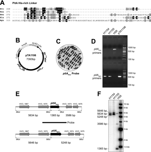 FIG. 2.