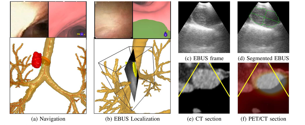 Fig. 8