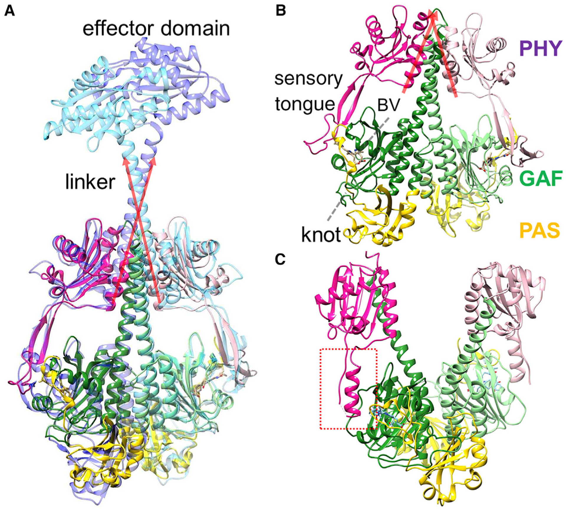 Figure 1.