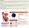 structured graphical abstract