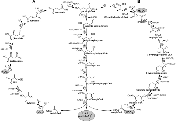 FIG. 6.