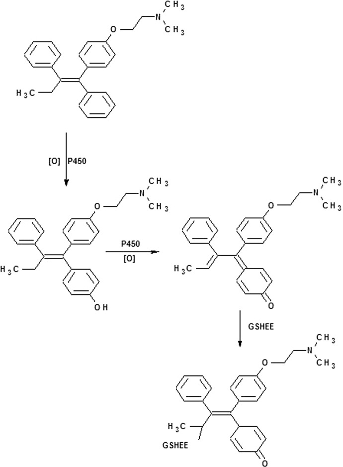 Scheme 1.