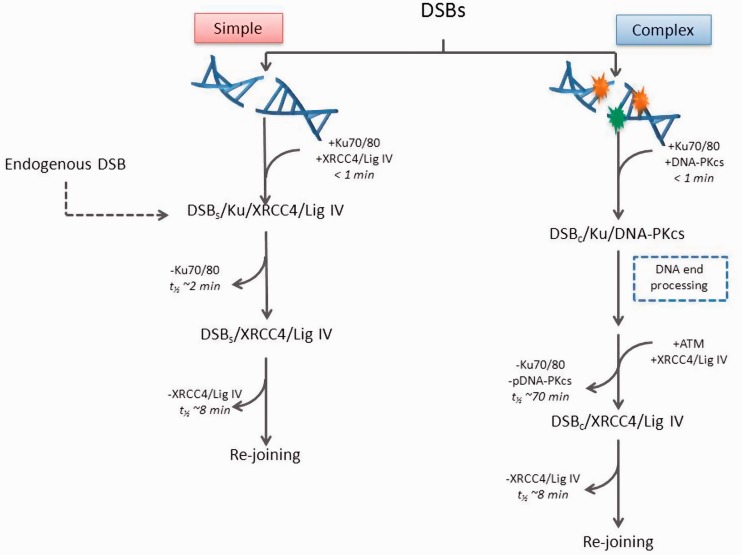 Figure 7.