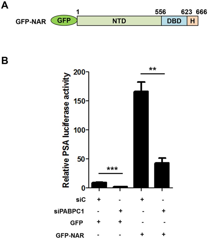 Fig 5