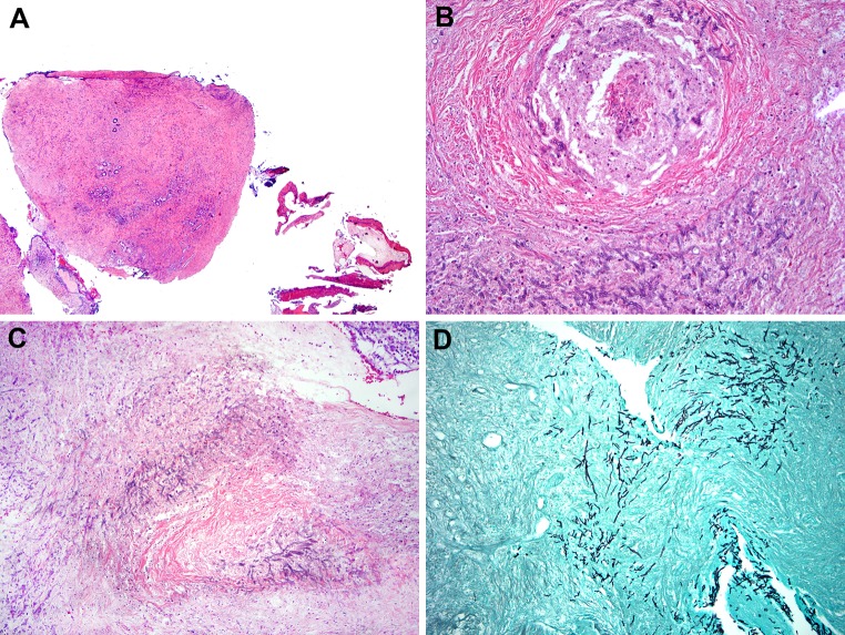 Fig. 6