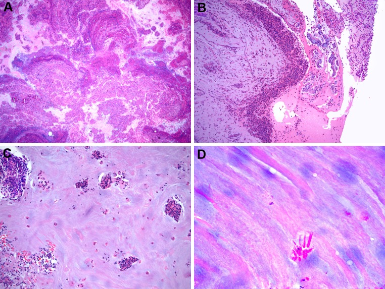 Fig. 2