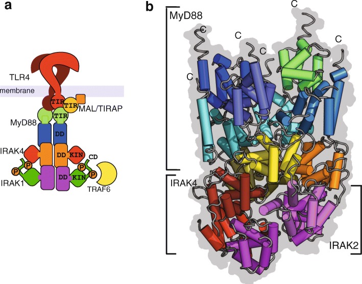 Fig. 2.