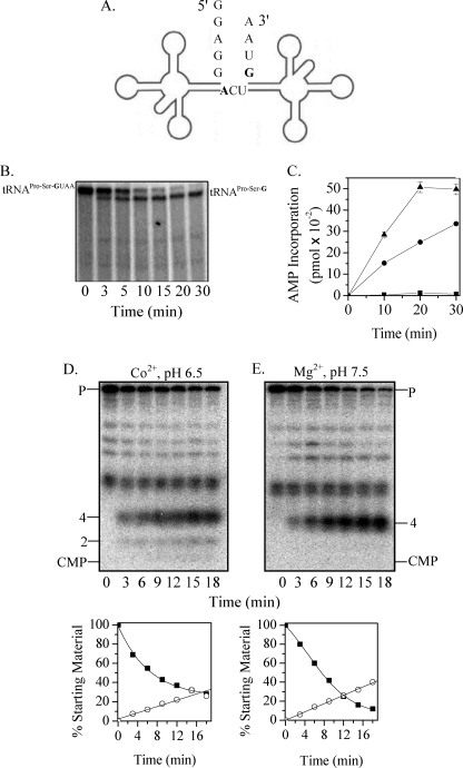 FIGURE 1.