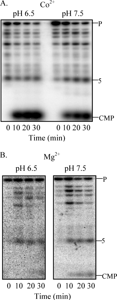 FIGURE 6.