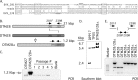 FIG 6