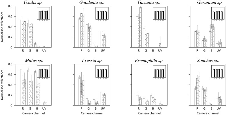 Figure 7