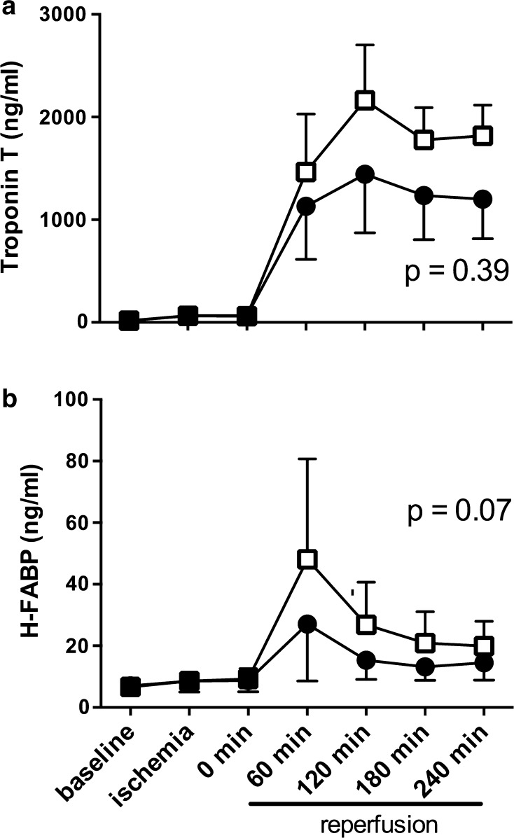 Fig. 7